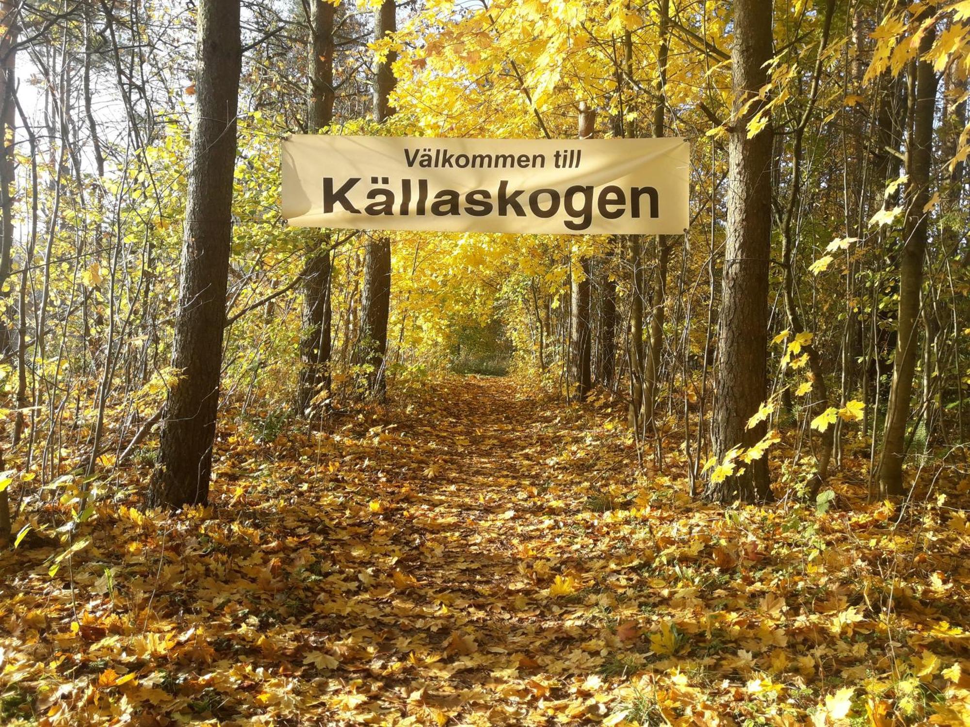 Broesarp Kaellagarden Stora Gardslaegenheten Extérieur photo